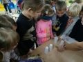 15293302_1145282715526482_1723586766_o