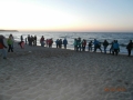 13313478_559688237524080_820572751_o - Kopia