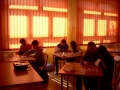 czterolistna-koniczyna-02