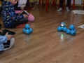 72801203_2958947584134985_4062362943969296384_n