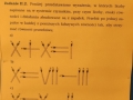 77304000_952149618487746_5745319353188876288_n (1)