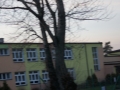 SONY DSC